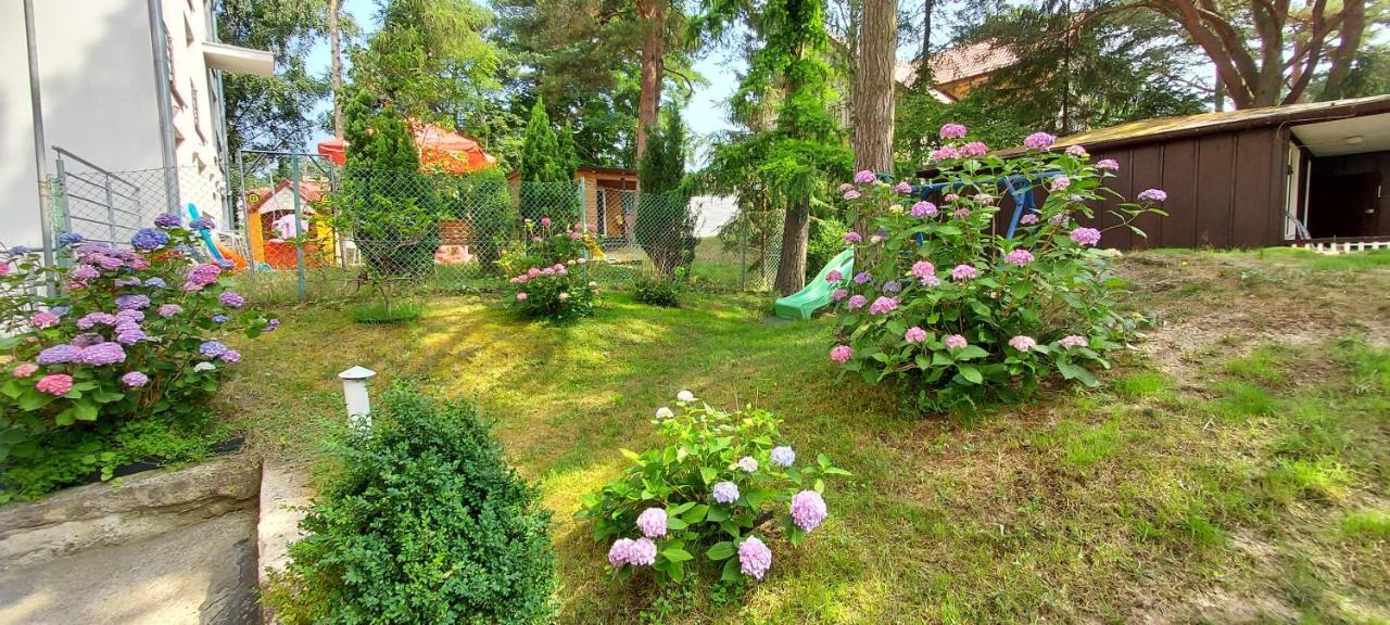 Villa Azalia Jastrzebia Gora Exterior photo